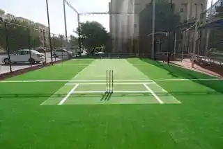 Cricket Pitch